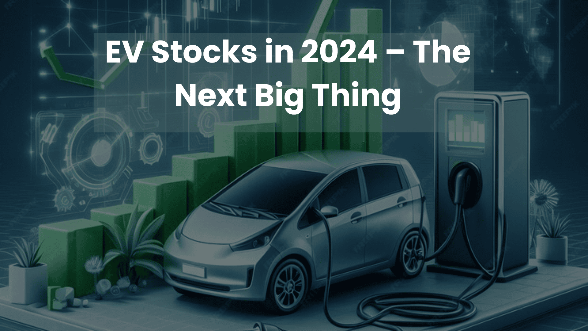 EV stocks in 2024