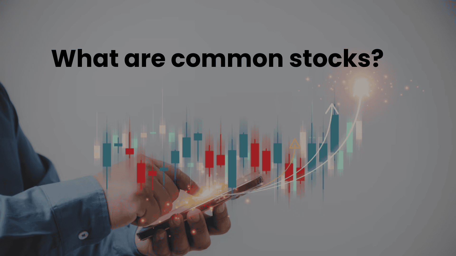What are common stocks